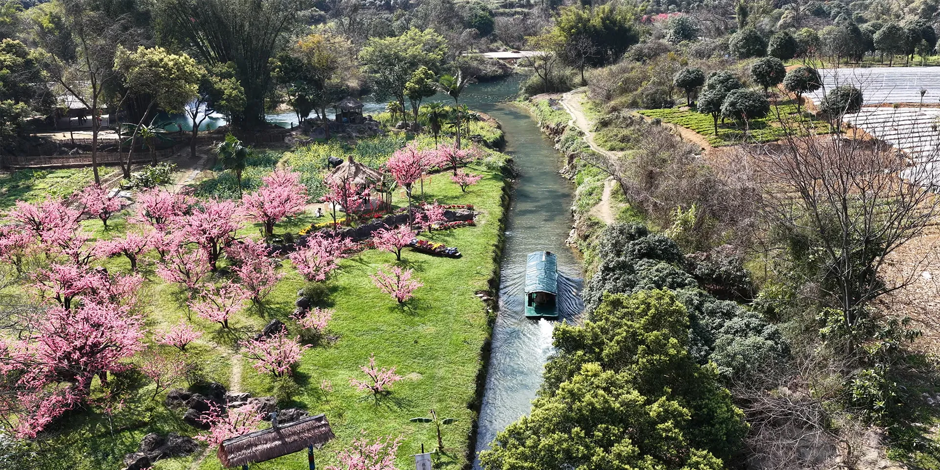 误入桃花源